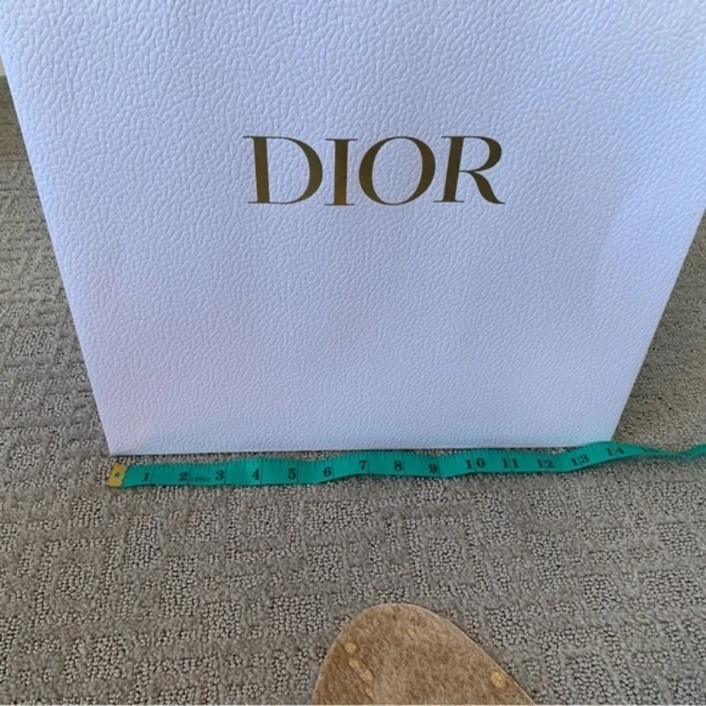 Dior Gift Bag